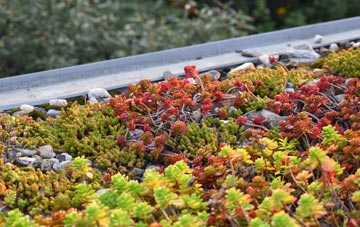 the cost of Nutley green roof installation