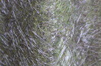 Nutley fibreglass roof work